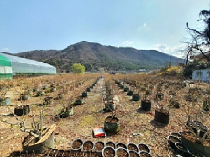 김해시 대동면 주중리 답 경매 물건 사진