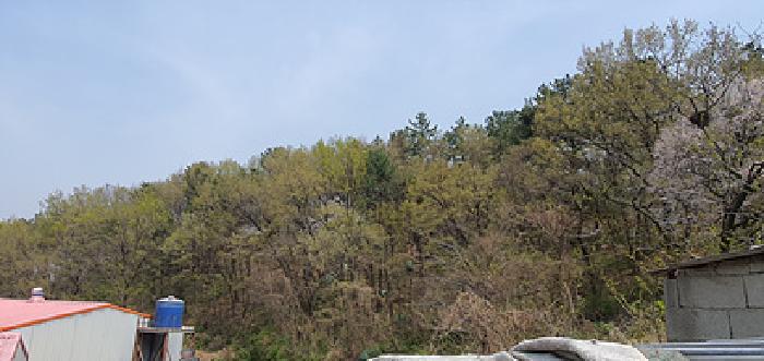 김해시 한림면 명동리 임야 경매 물건 사진