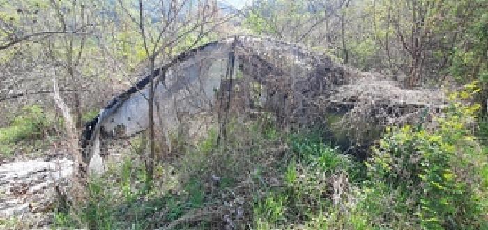 김해시 한림면 금곡리 전 경매 물건 사진