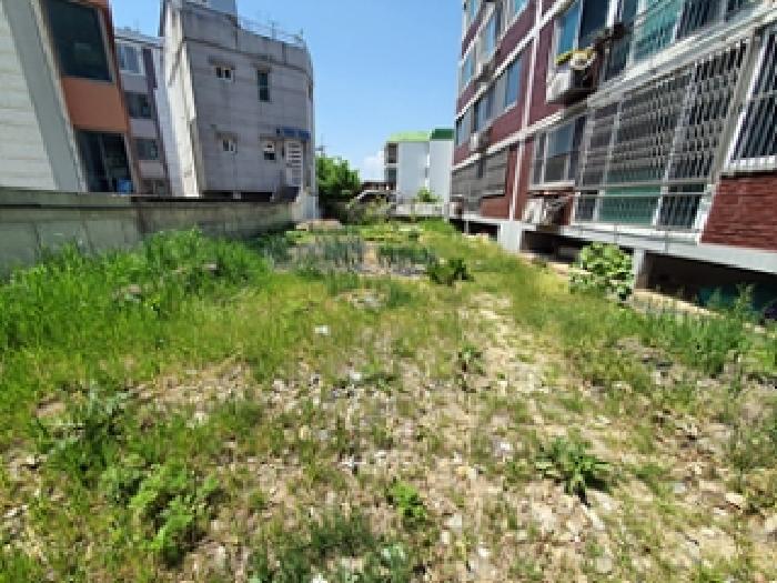 창원시 진해구 자은동 답 경매 물건 사진