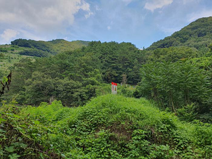 김해시 삼계동 산126 임야 경매 물건 사진