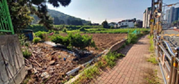 창원시 진해구 마천동 답 경매 물건 사진