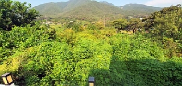 김해시 상동면 여차리 전 경매 물건 사진
