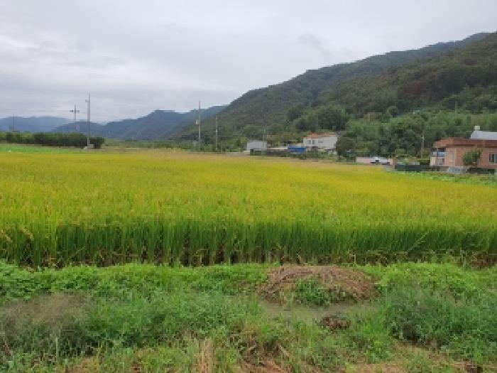 김해시 생림면 도요리 전 경매 물건 사진
