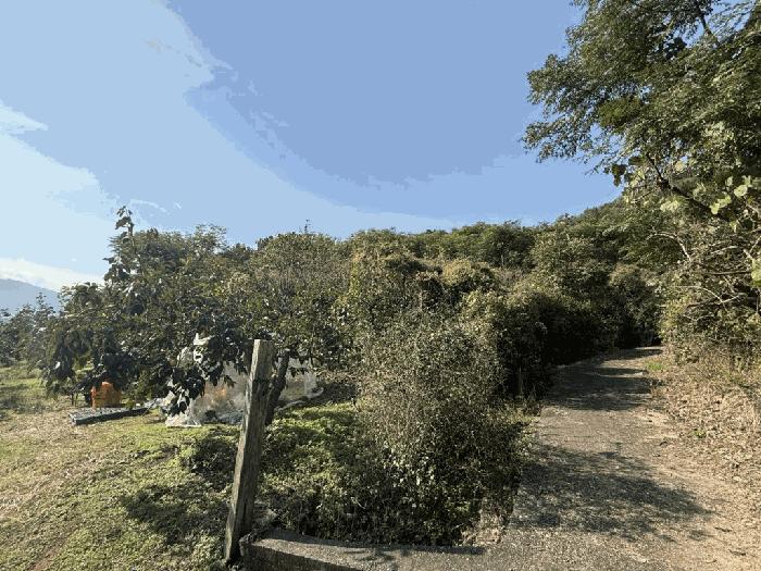 김해시 진영읍 신용리 과수원 경매 물건 사진