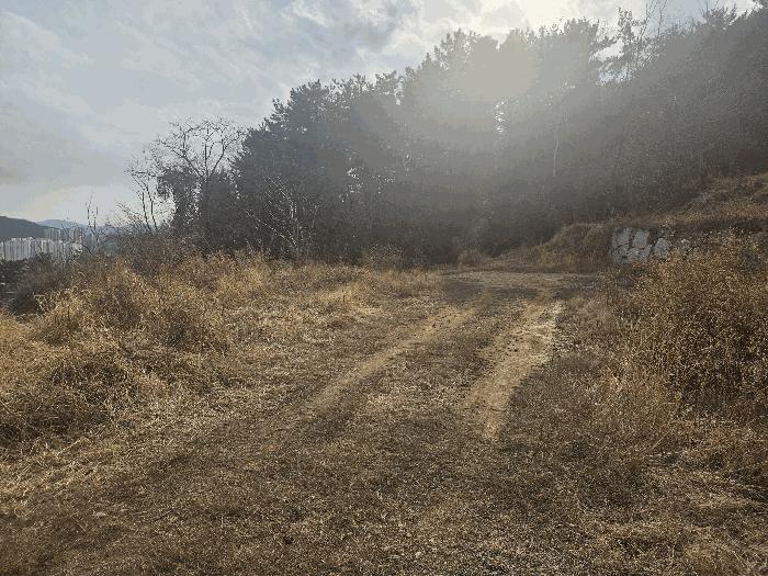 김해시 내동 991 답 경매 물건 사진