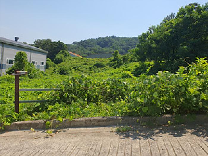 김해시 한림면 안하리 전 경매 물건 사진
