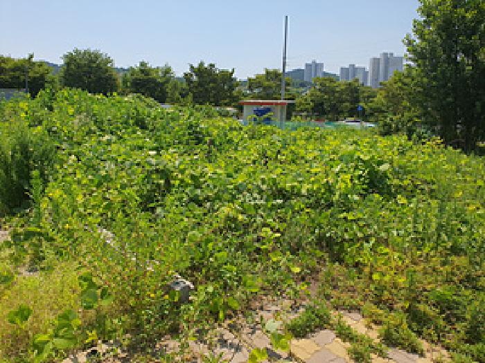 김해시 진영읍 진영리 대지 경매 물건 사진