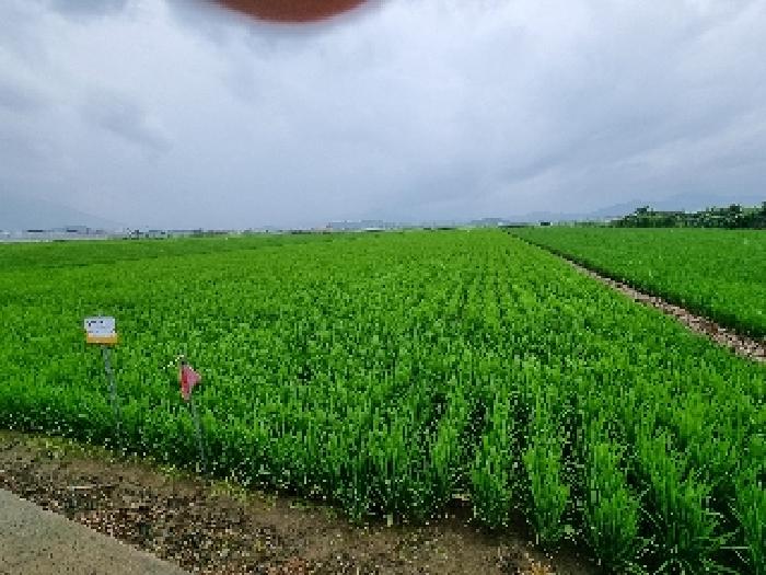 창원시 의창구 대산면 전답 경매 물건 사진