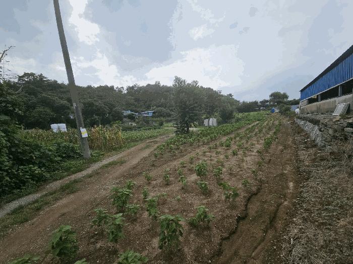 김해시 한림면 장방리 답 경매 물건 사진