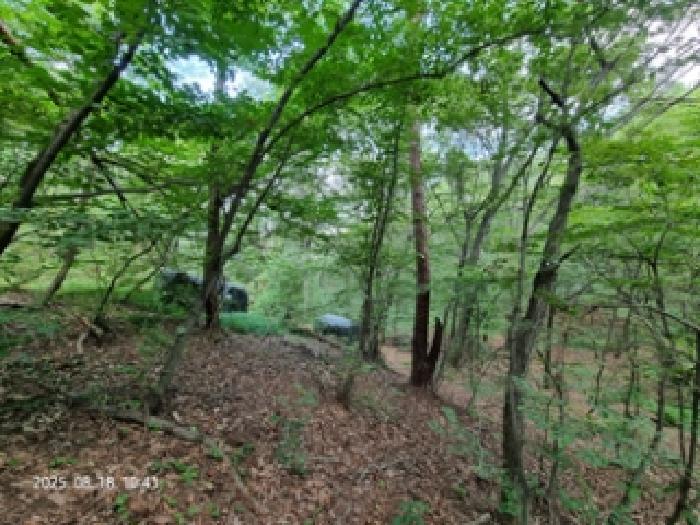 창원시 성산구 남지동 임야 경매 물건 사진
