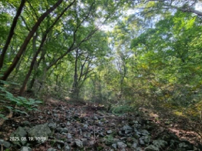 창원시 성산구 귀곡동 임야 경매 물건 사진