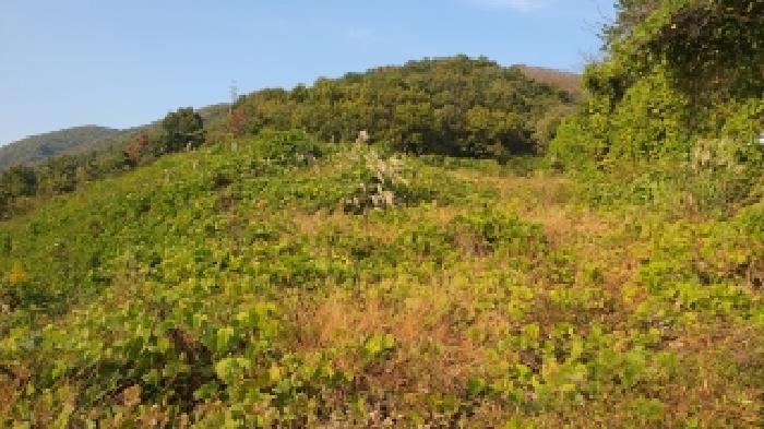 김해시 주촌면 덕암리 공장용지 경매 물건 사진