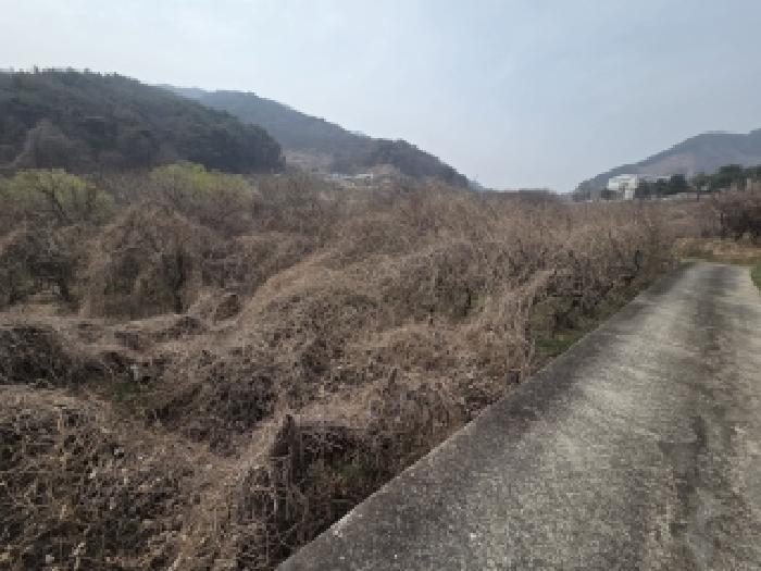 창원시 의창구 북면 전답 경매 물건 사진