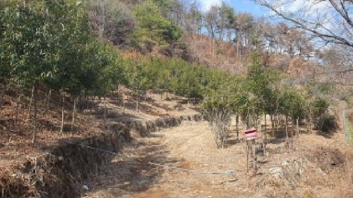 김해시 생림면 도요리 임야 경매 물건 사진