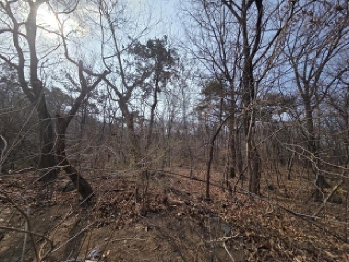 창원시 의창구 도계동 임야 경매 물건 사진