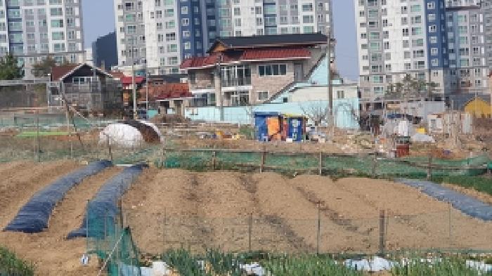 김해시 진영읍 여래리 전 경매 물건 사진