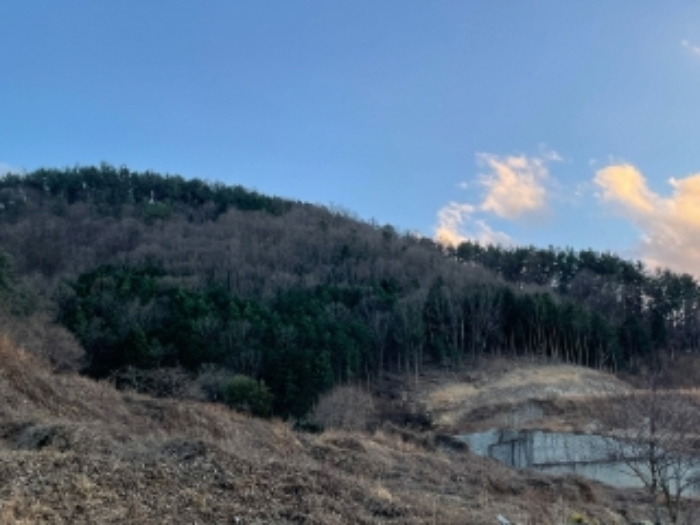 사천시 실안동 산246 임야 경매 물건 사진