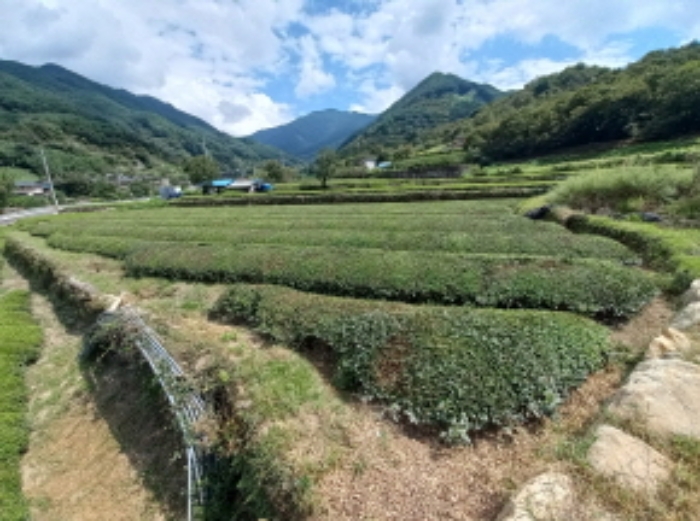 하동군 화개면 정금리 답 경매 물건 사진