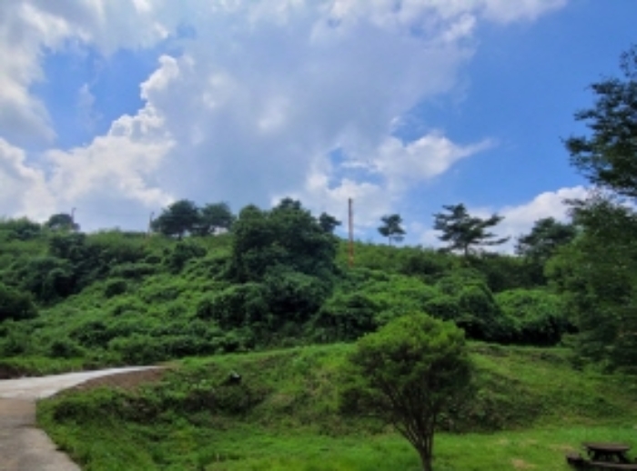 하동군 북천면 직전리 임야 경매 물건 사진