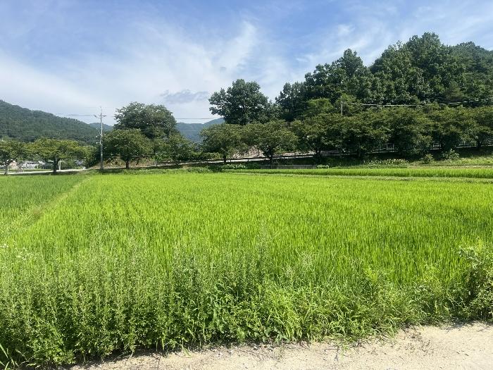 산청군 오부면 중촌리 전 경매 물건 사진