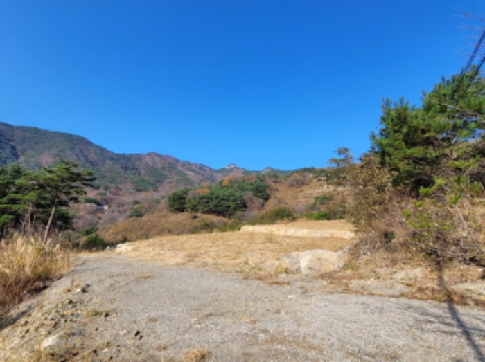 산청군 신안면 외송리 임야 경매 물건 사진