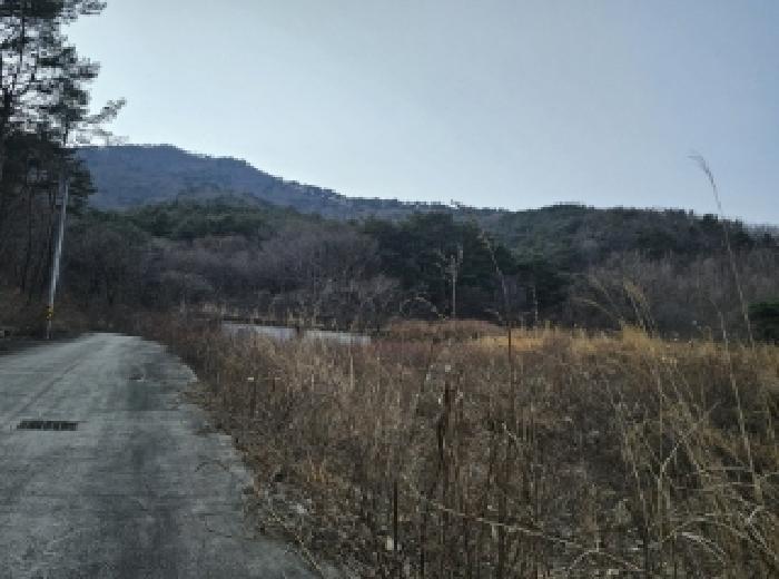 산청군 단성면 방목리 도로 경매 물건 사진