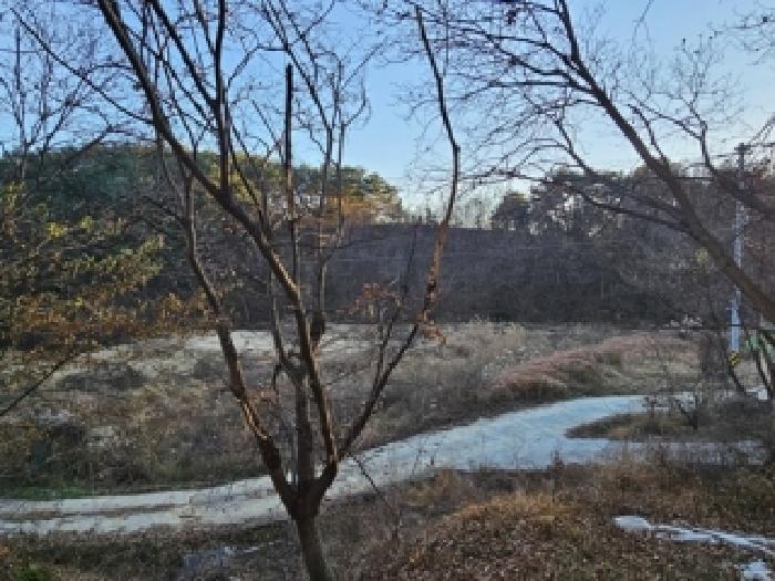산청군 신등면 양전리 답 경매 물건 사진