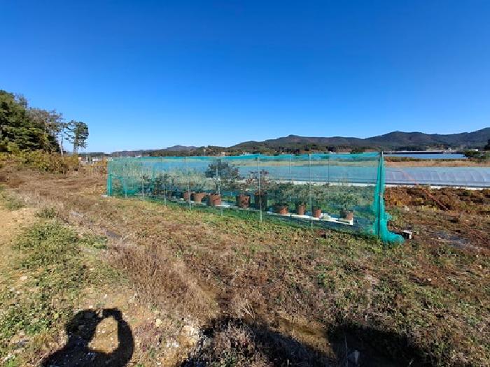 남해군 창선면 당저리 답 경매 물건 사진