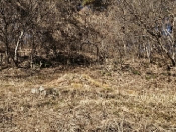 진주시 집현면 정평리 단독주택 경매 물건 사진