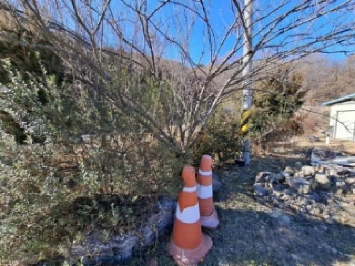 진주시 대곡면 설매리 답 경매 물건 사진