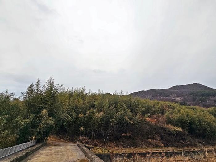 하동군 악양면 평사리 임야 경매 물건 사진