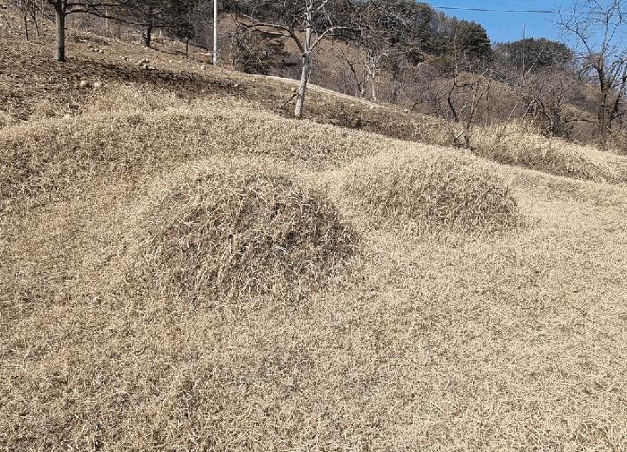 산청군 삼장면 대포리 묘지 경매 물건 사진
