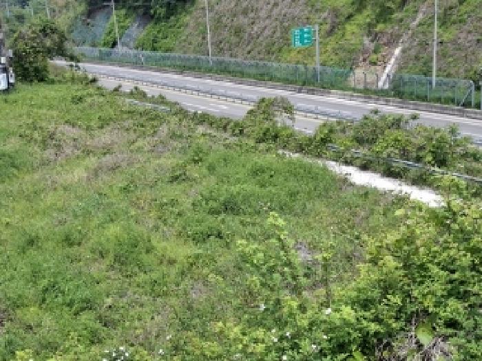 남해군 고현면 차면리 답 경매 물건 사진