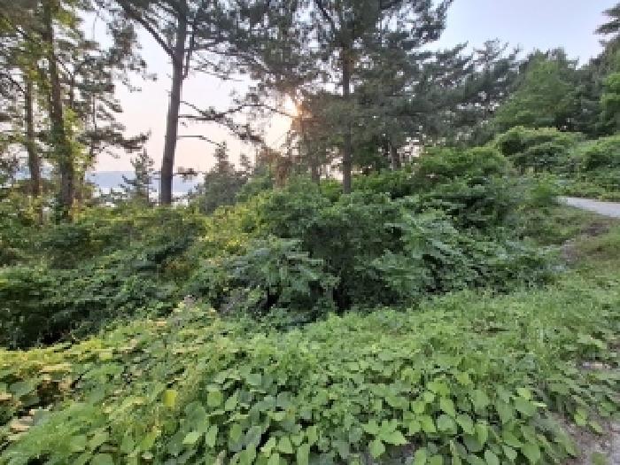 남해군 서면 작장리 임야 경매 물건 사진