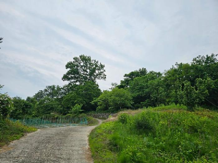 산청군 오부면 오전리 전 경매 물건 사진