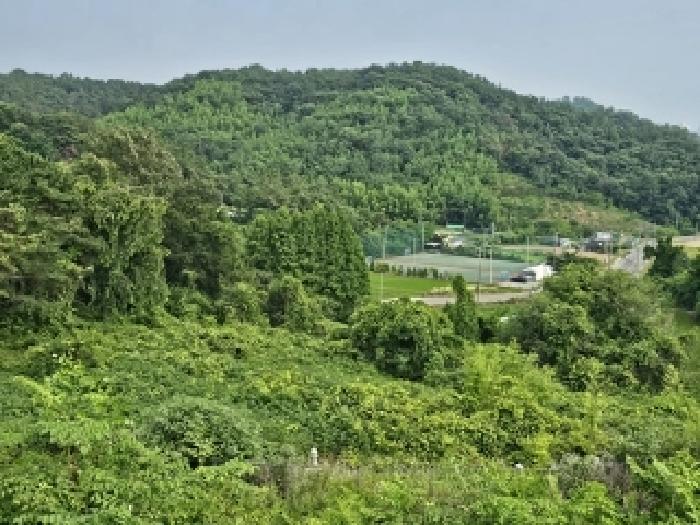 진주시 금산면 송백리 전 경매 물건 사진