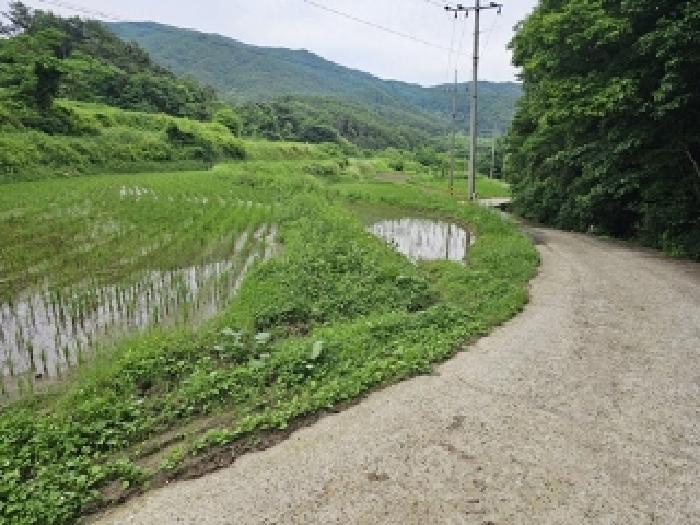 산청군 차황면 장박리 답 경매 물건 사진
