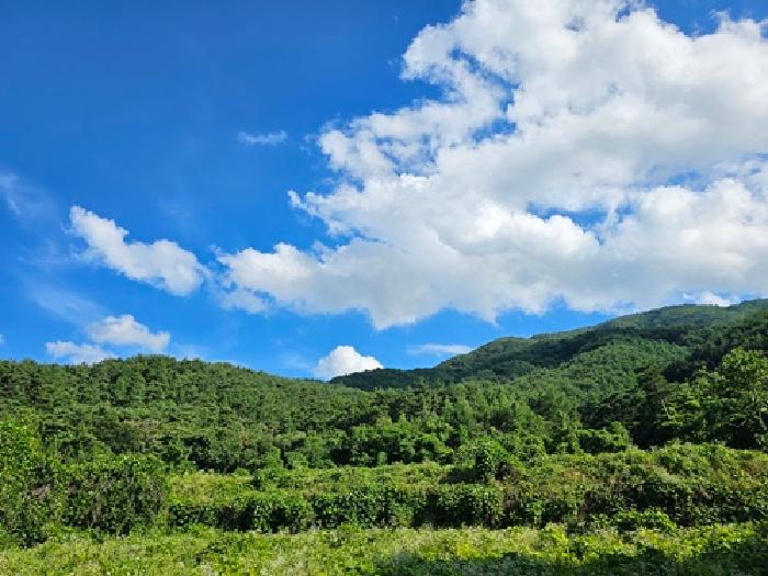 산청군 산청읍 내리 임야 경매 물건 사진