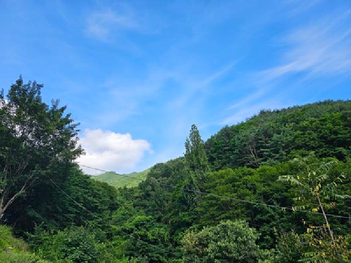 하동군 화개면 부춘리 임야 경매 물건 사진