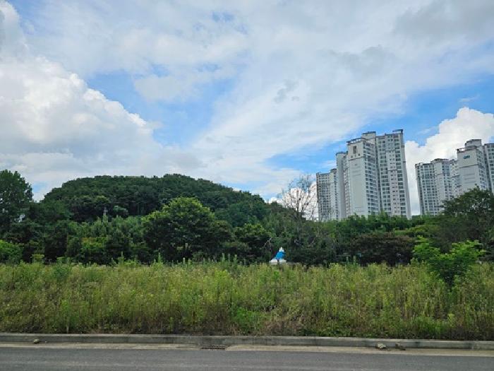 진주시 내동면 독산리 도로 경매 물건 사진