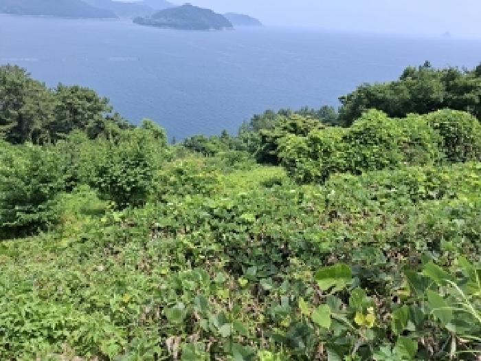 남해군 남면 홍현리 전 경매 물건 사진