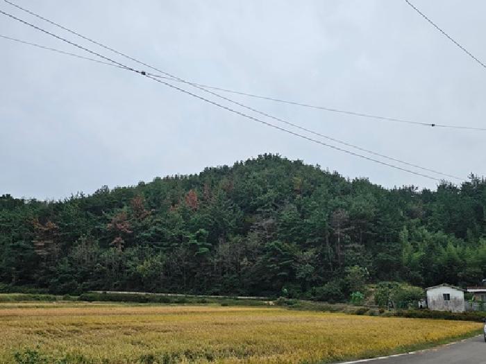 하동군 금남면 진정리 연립주택 경매 물건 사진