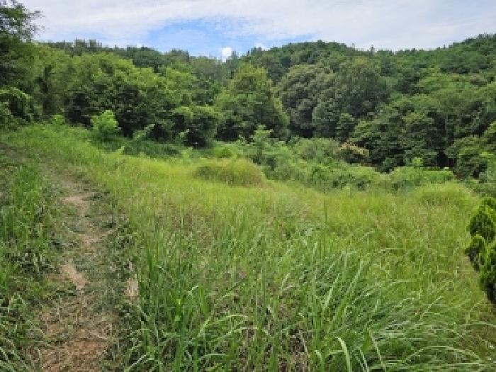 산청군 신등면 양전리 전 경매 물건 사진