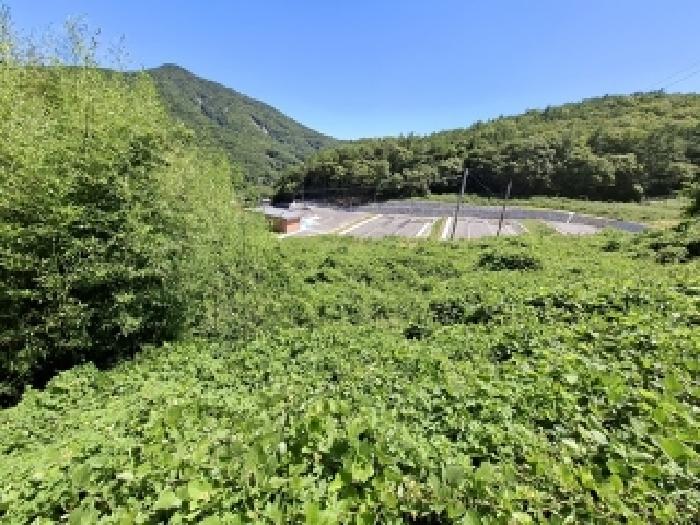 남해군 상주면 양아리 전 경매 물건 사진