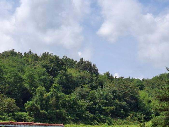 사천시 곤명면 초량리 동물및식물관련시설 경매 물건 사진