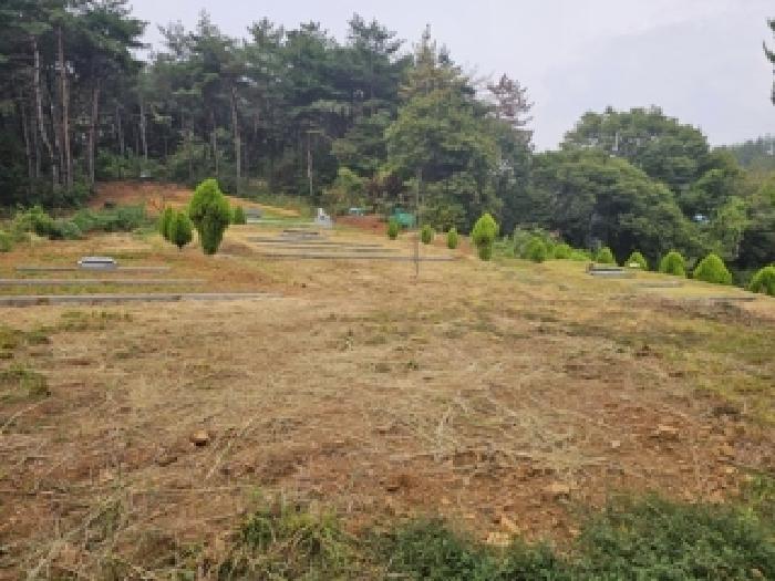 하동군 적량면 동리 임야 경매 물건 사진