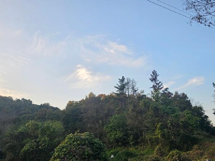 진주시 금곡면 검암리 임야 경매 물건 사진
