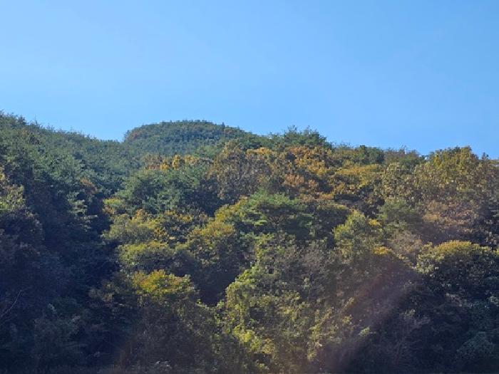 산청군 생비량면 화현리 임야 경매 물건 사진