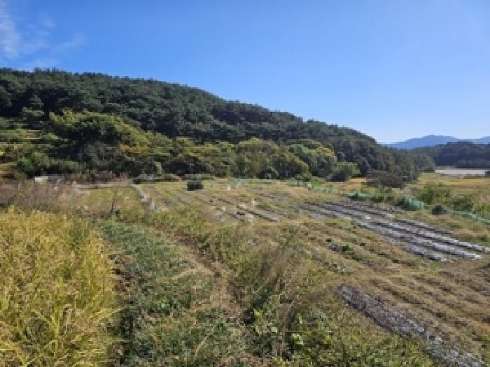 산청군 신안면 외고리 단독주택 경매 물건 사진
